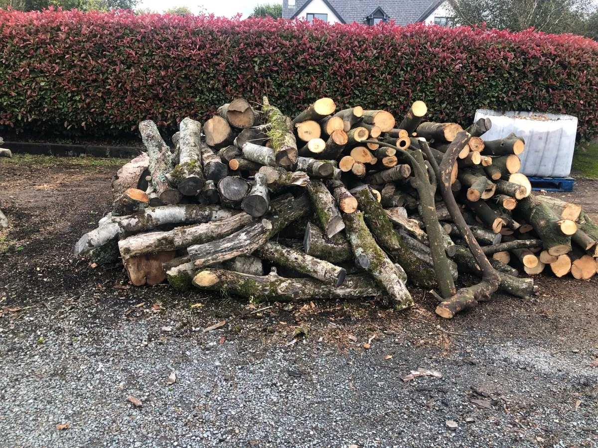 Firewood - Image 1