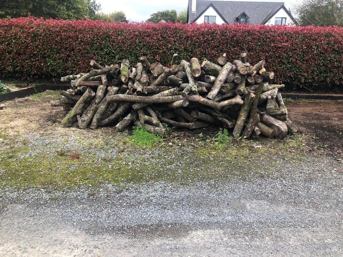 Firewood - Image 2