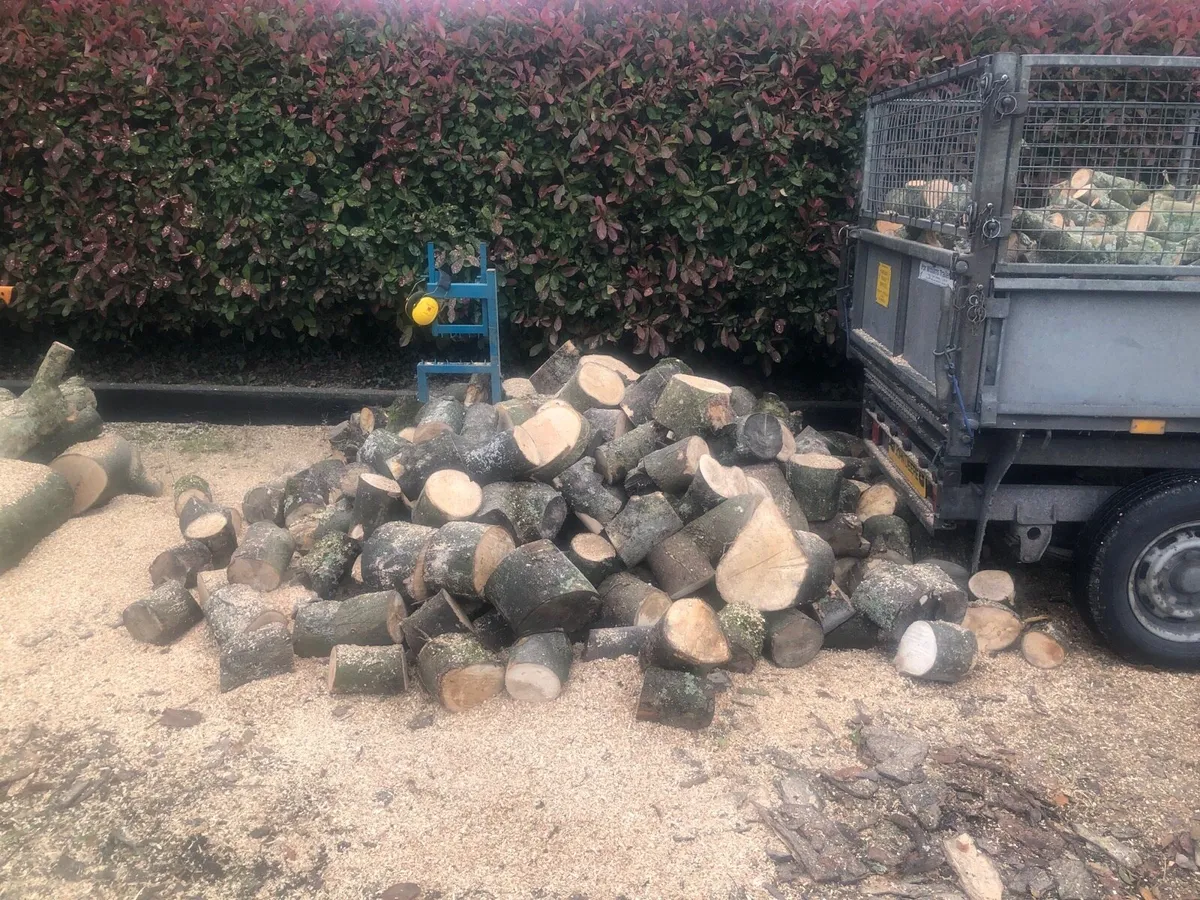 Firewood - Image 3
