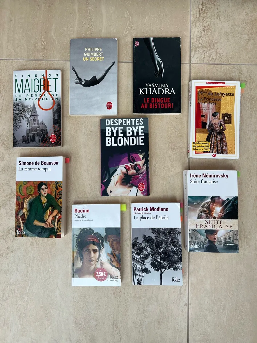 French University Books - Image 1