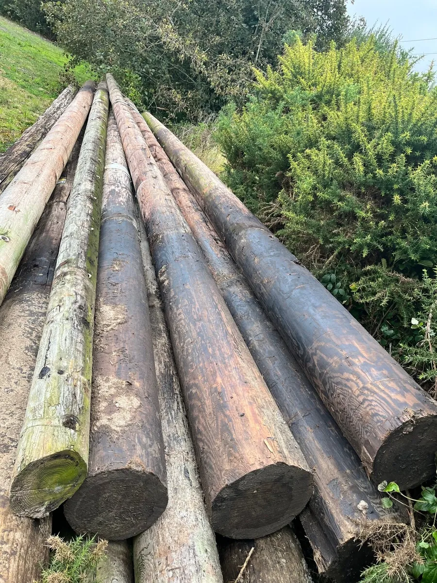ESB poles - Image 2