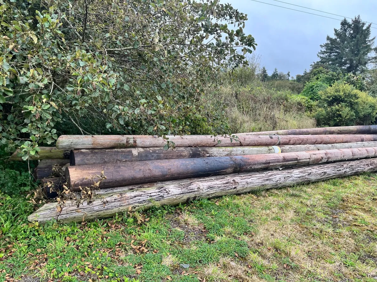 ESB poles - Image 3