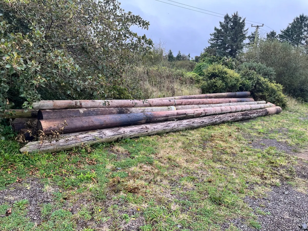 ESB poles - Image 4