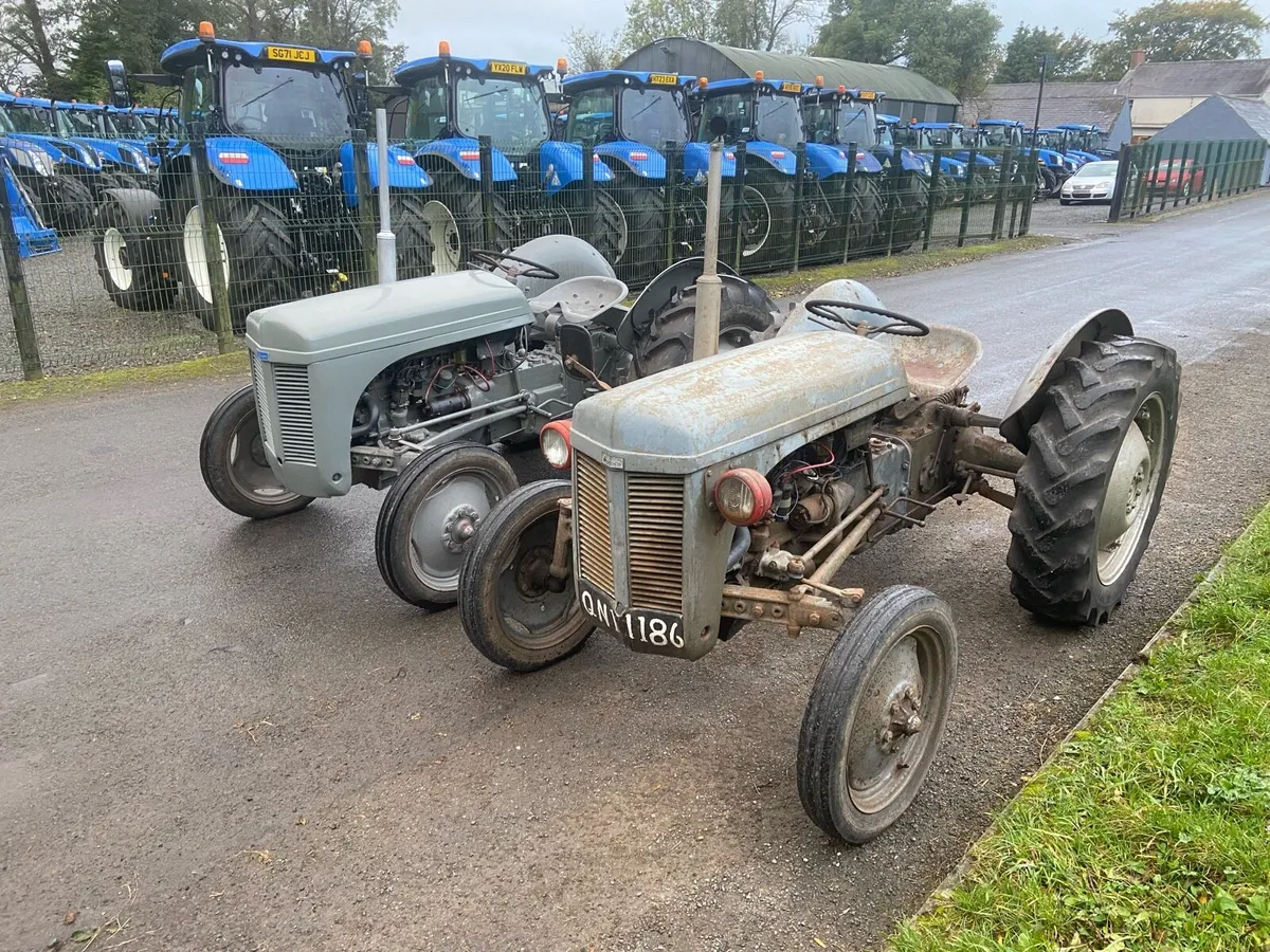 Ferguson Tractors - Image 3