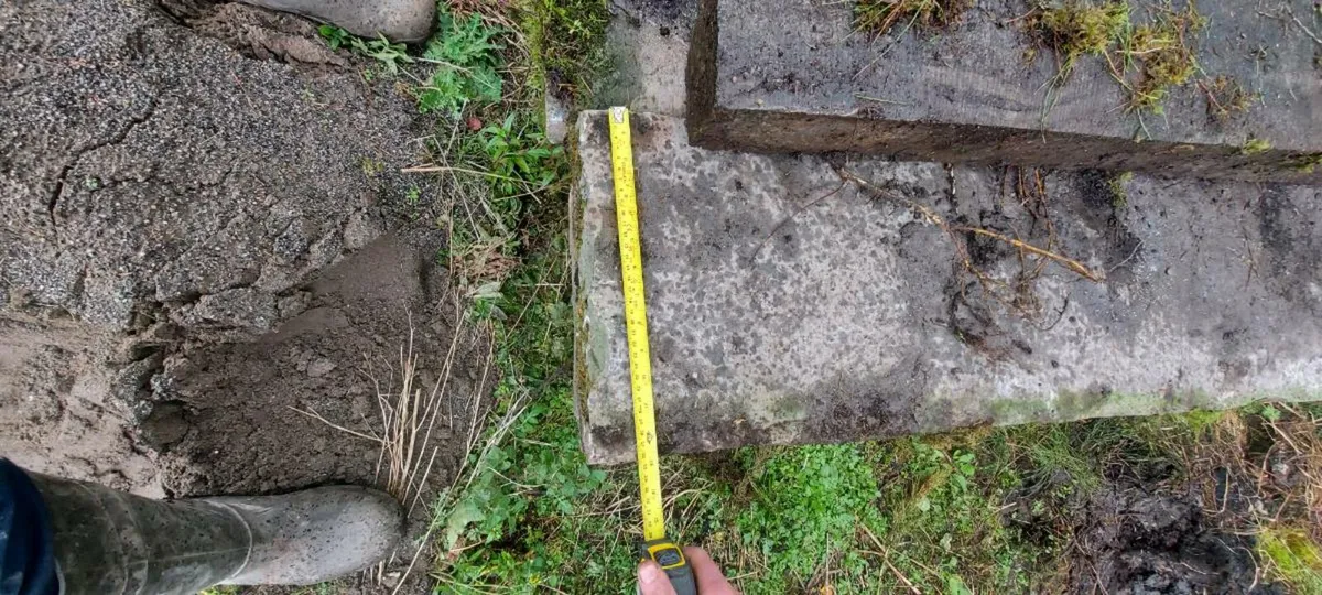 Limestone - Image 2