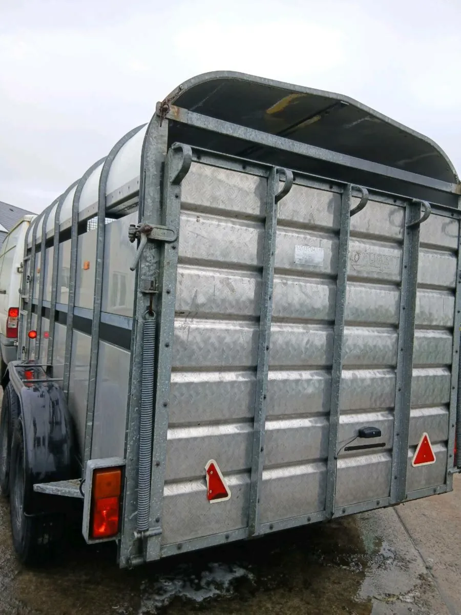 Nugent cattle trailer - Image 3
