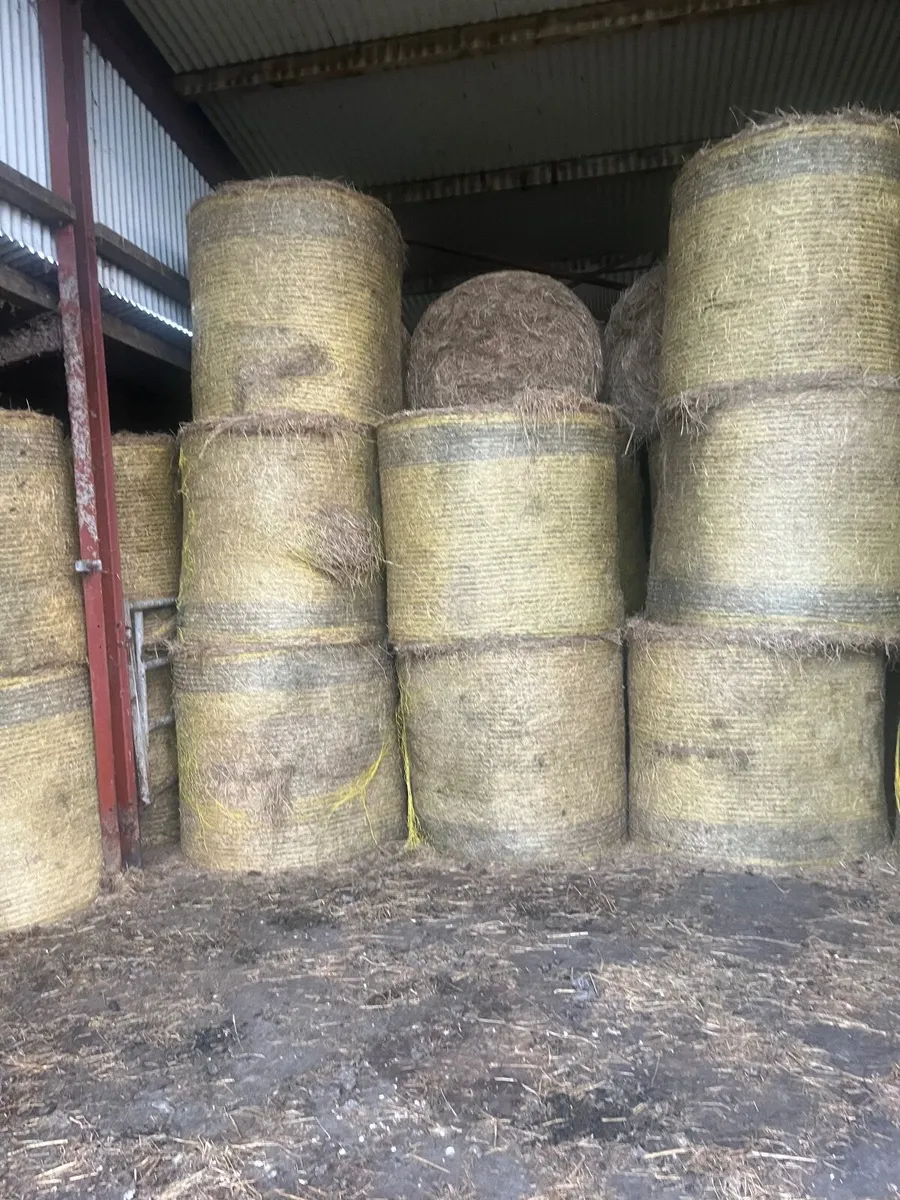 Hay bales - Image 1