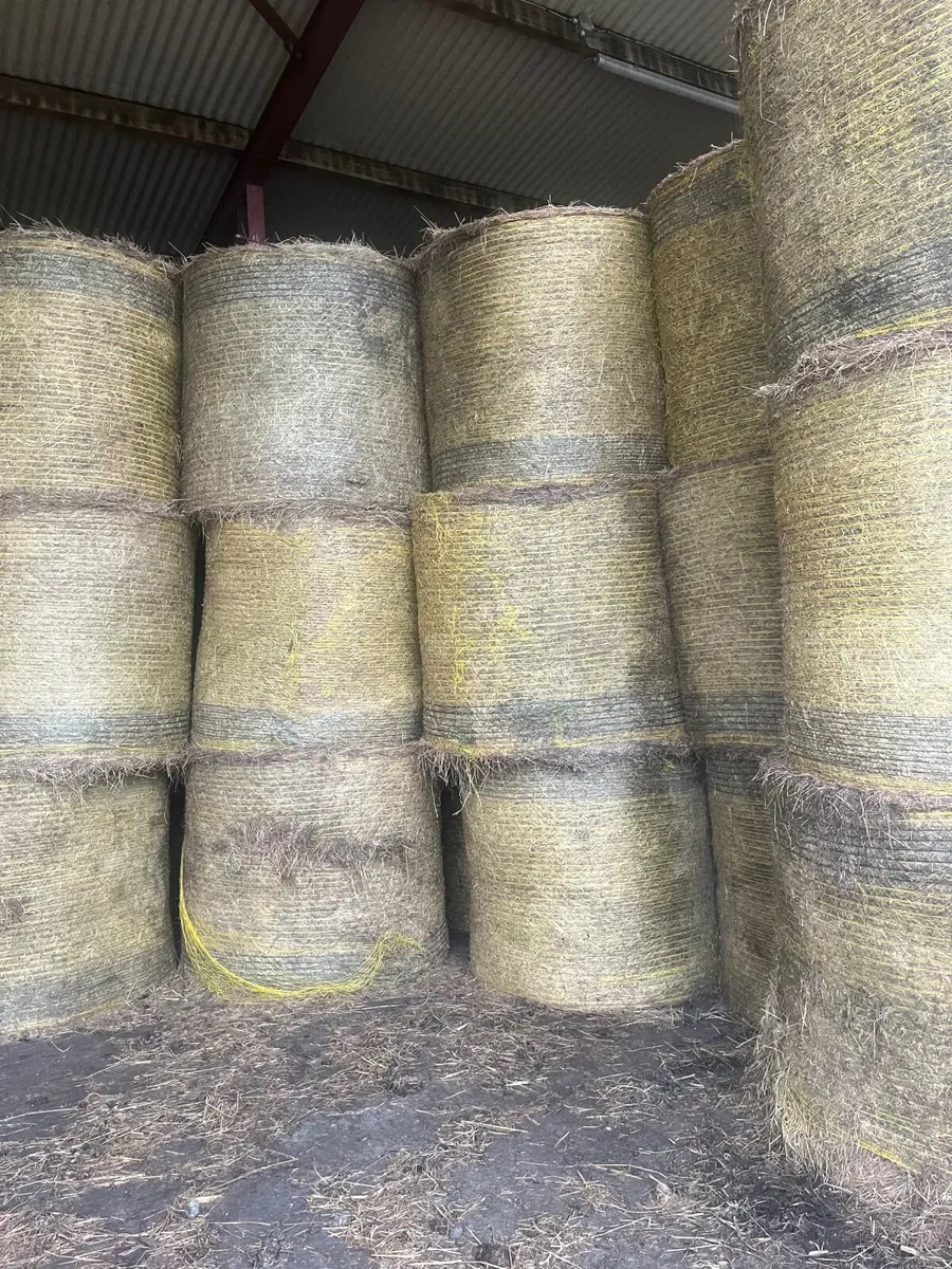 Hay bales - Image 2