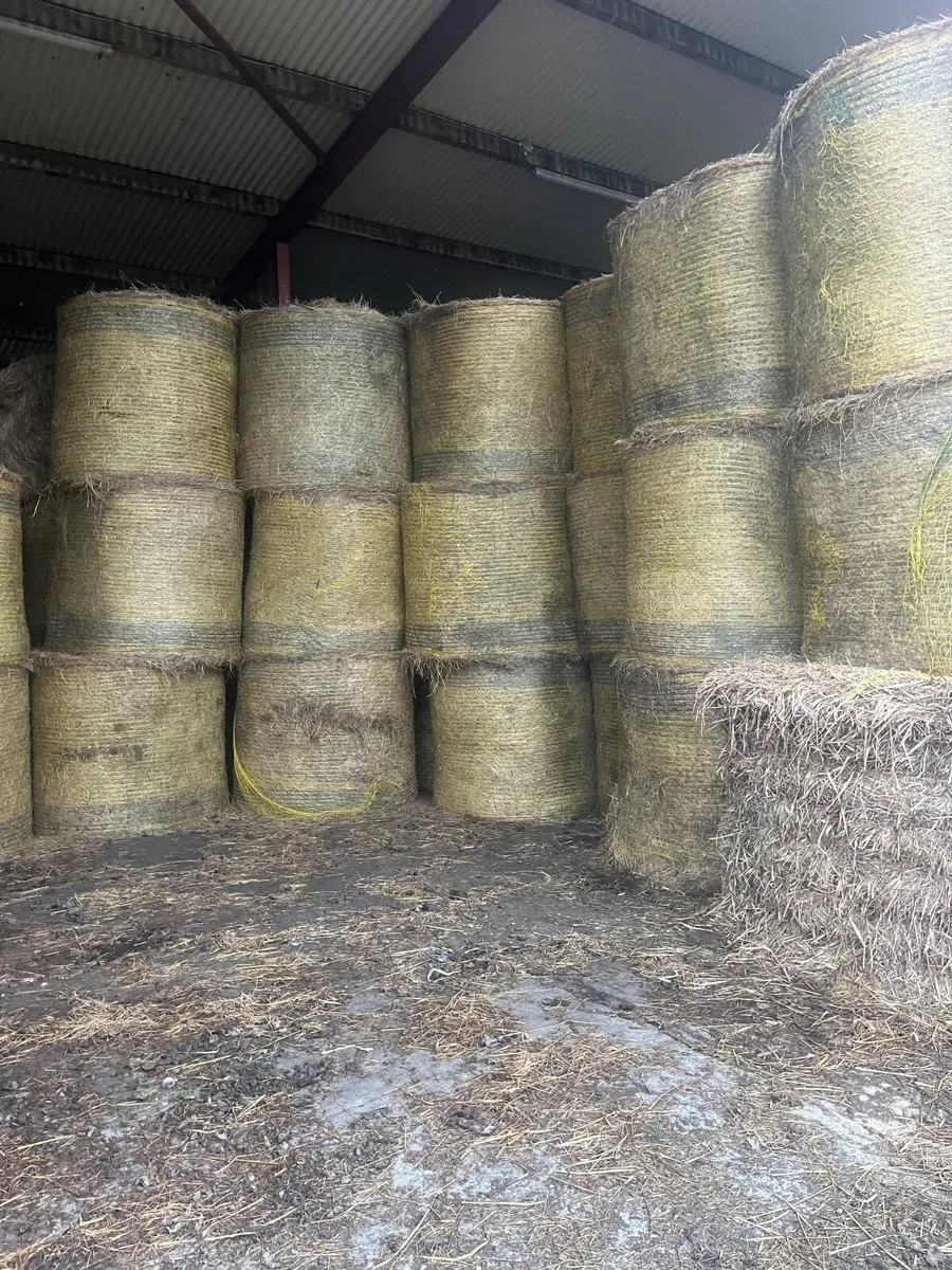 Hay bales - Image 3