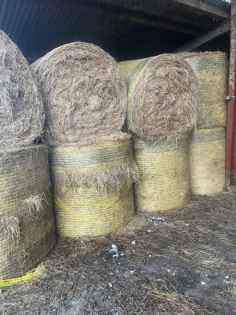 Hay bales - Image 4