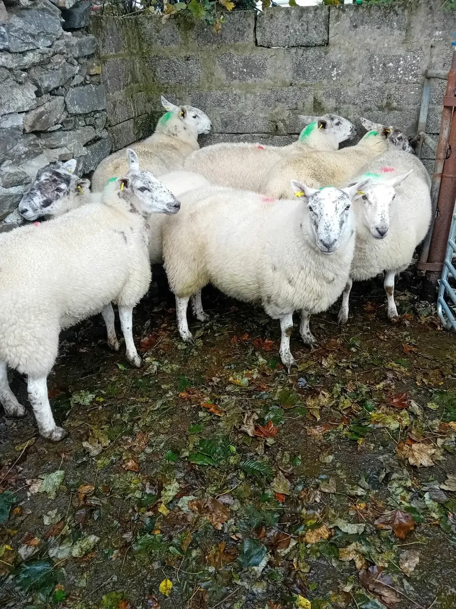 For sale in Dowra Mart - Image 1
