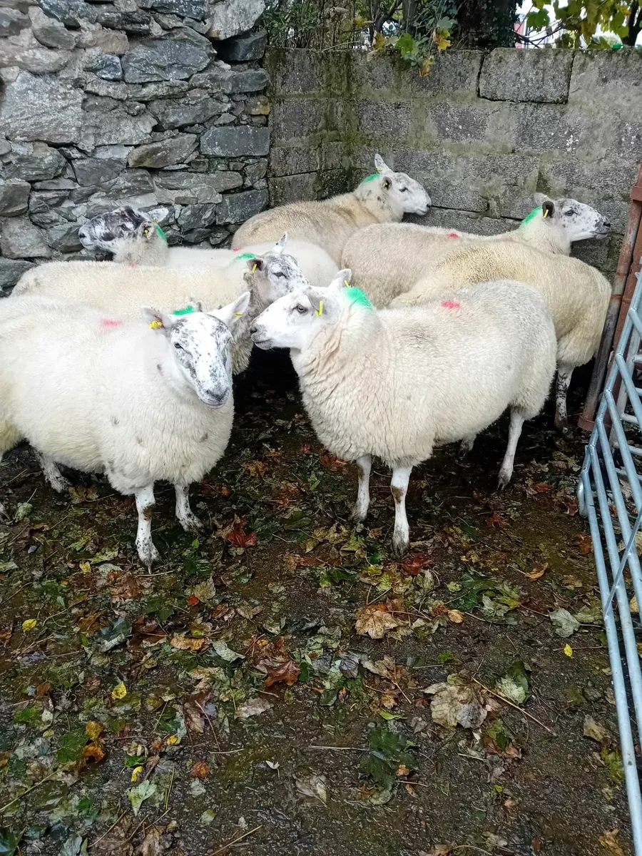 For sale in Dowra Mart - Image 2