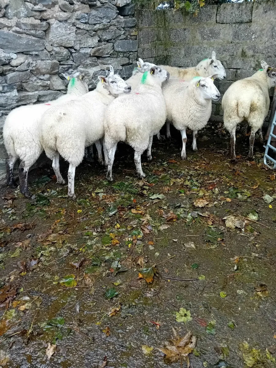 For sale in Dowra Mart - Image 3