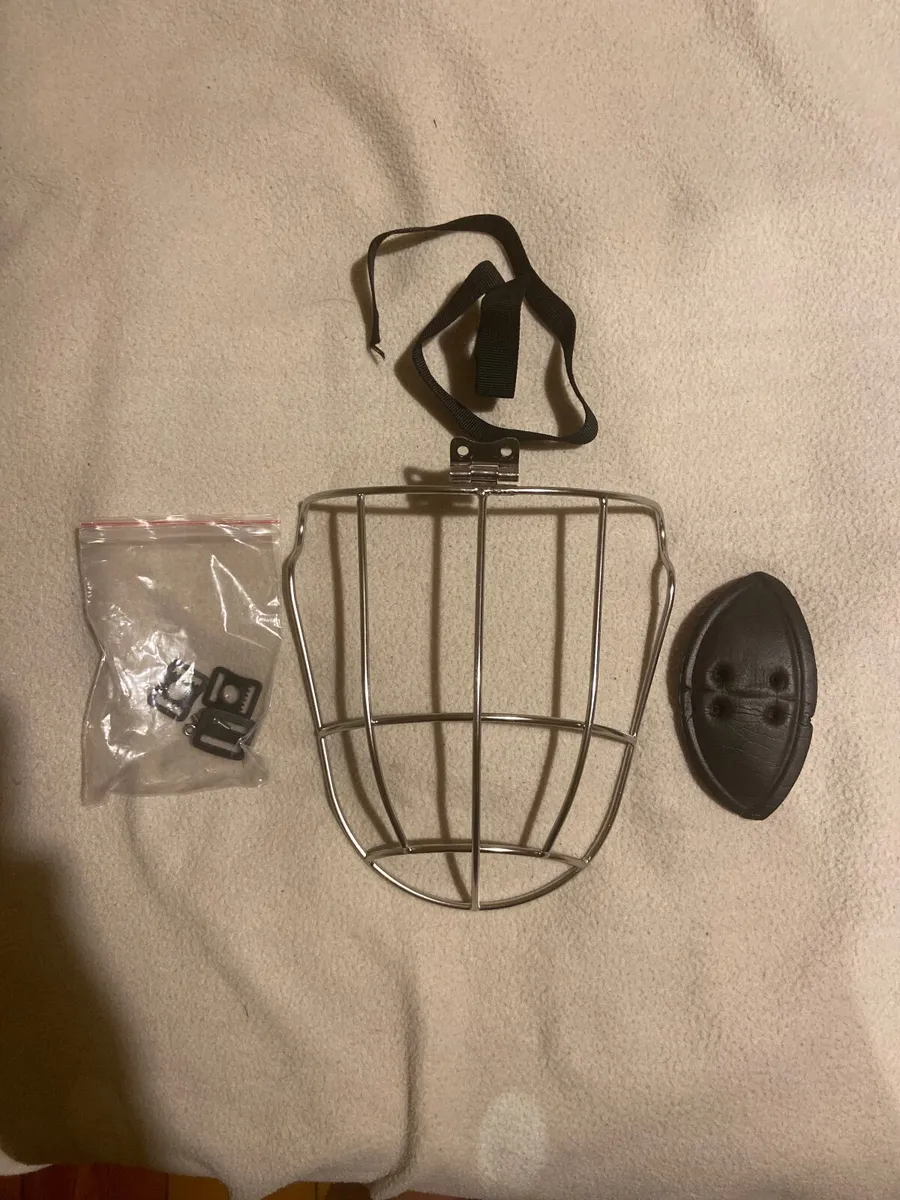 Kilkenny faceguard