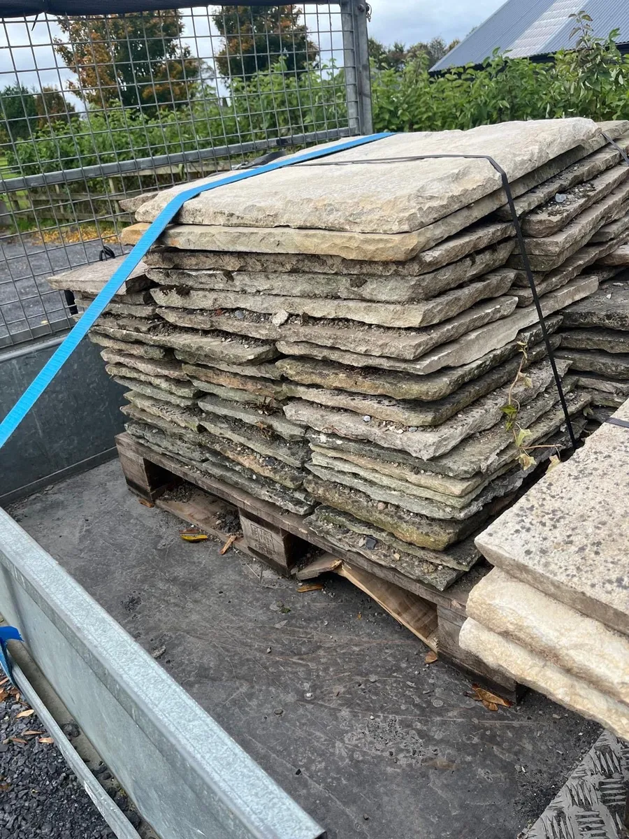 Patio paving - Image 4