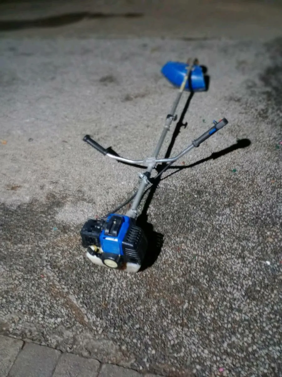 Strimmer - Image 1