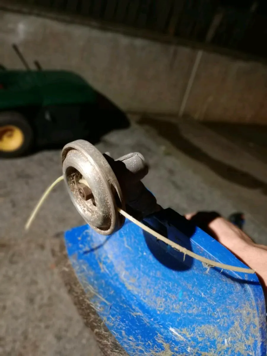 Strimmer - Image 2