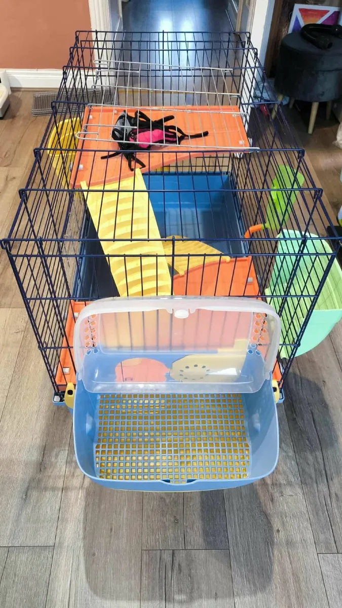 Cage - Image 1