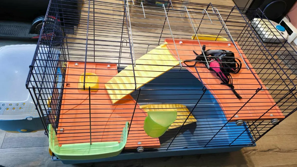 Cage - Image 2