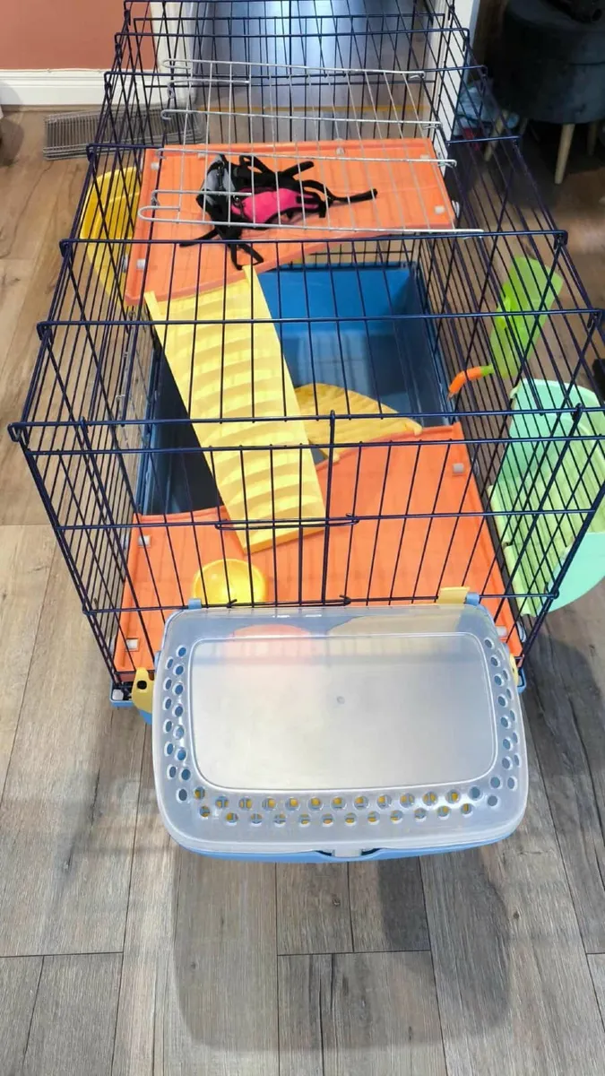 Cage - Image 3