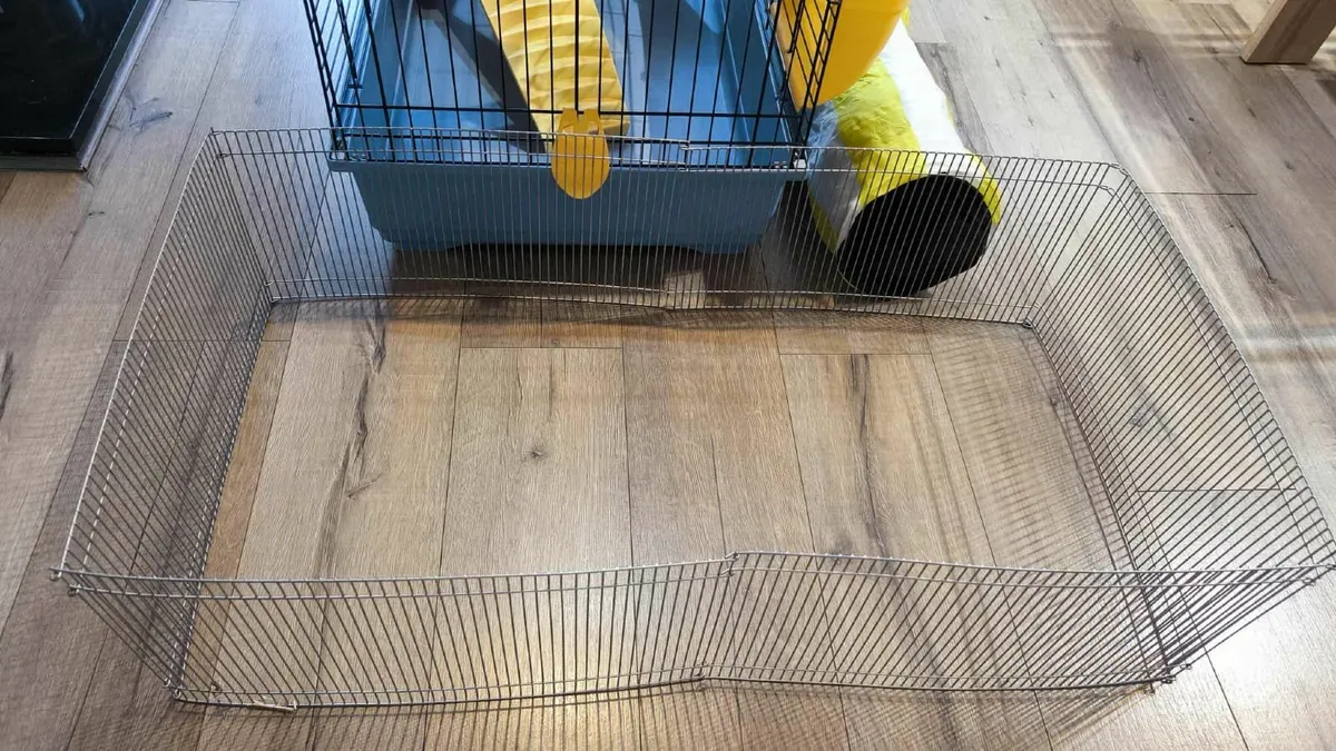 Cage - Image 4