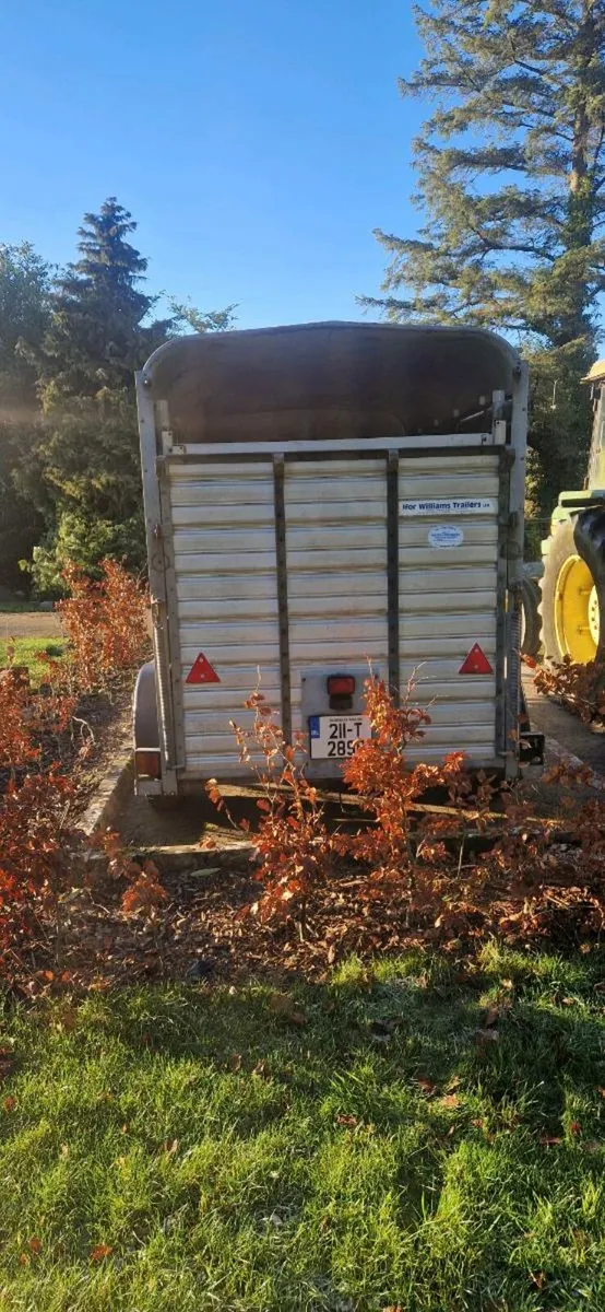 Ifor williams Ta5g-10 - Image 4