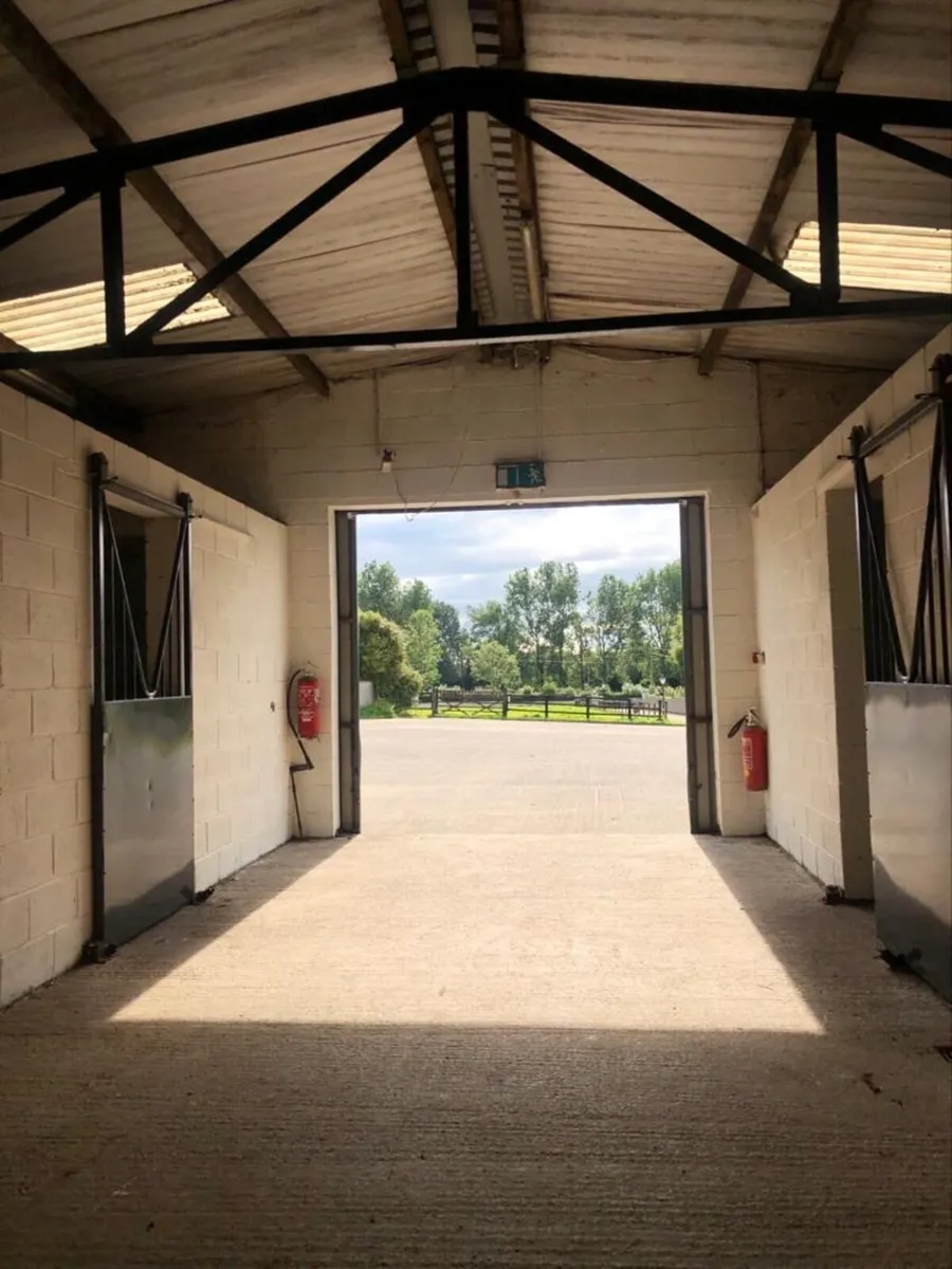 Professional Equestrian Yard – Kildare - Image 1