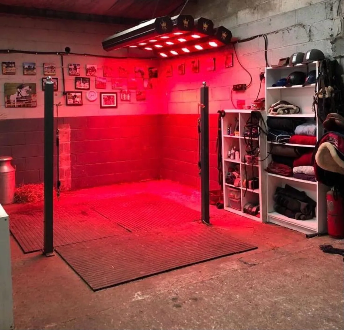 Professional Equestrian Yard – Kildare - Image 2