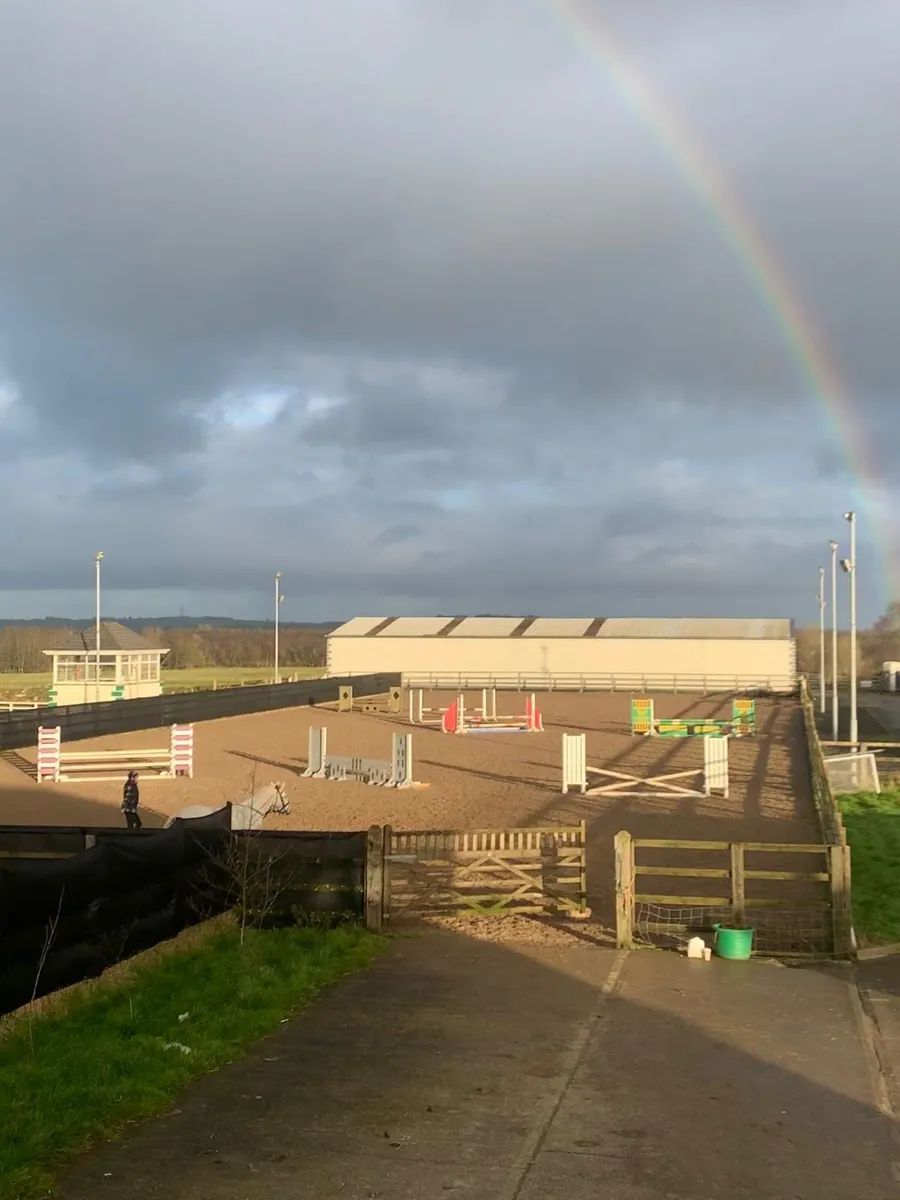 Professional Equestrian Yard – Kildare - Image 3