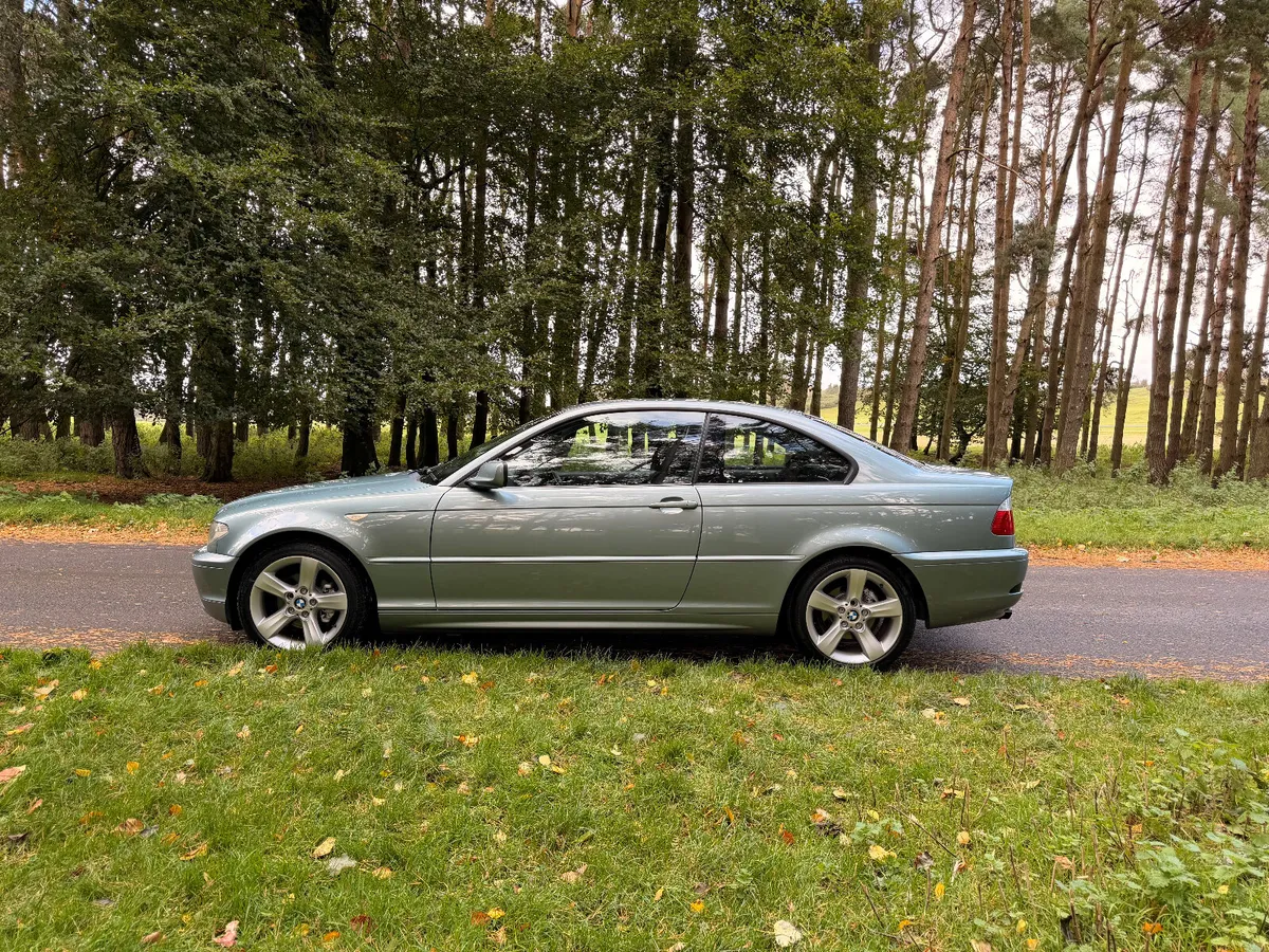 BMW 3-Series 2004 318CI - Image 4