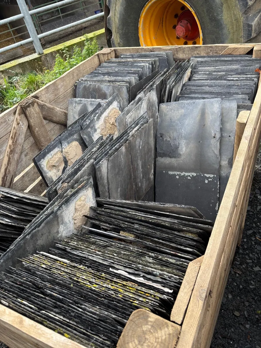 Bangor Blue Slates - Image 1
