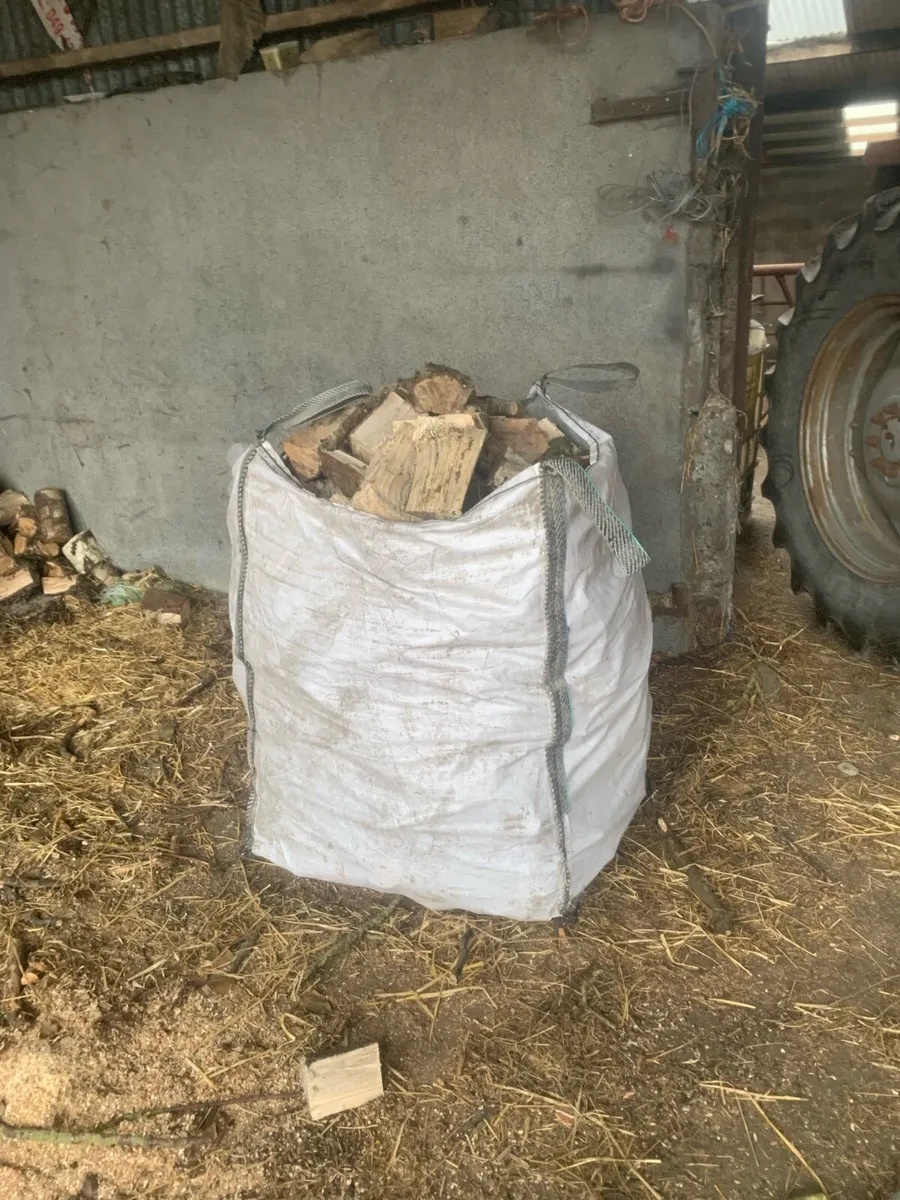 Firewood - Image 1