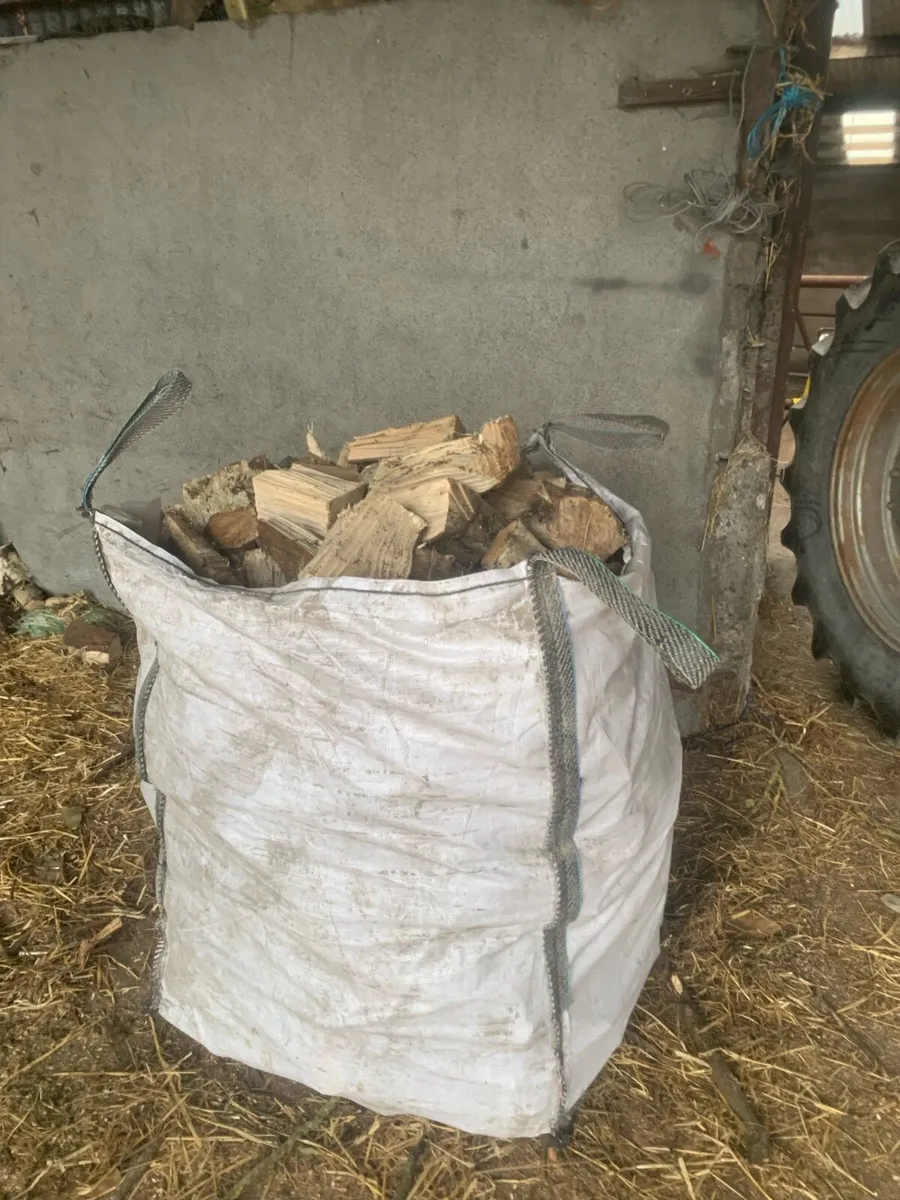 Firewood - Image 3