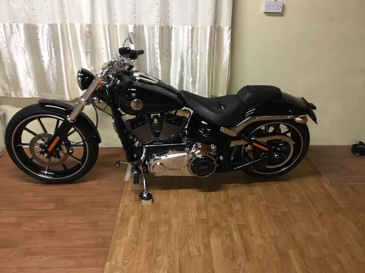 Harley Breakout - Image 2