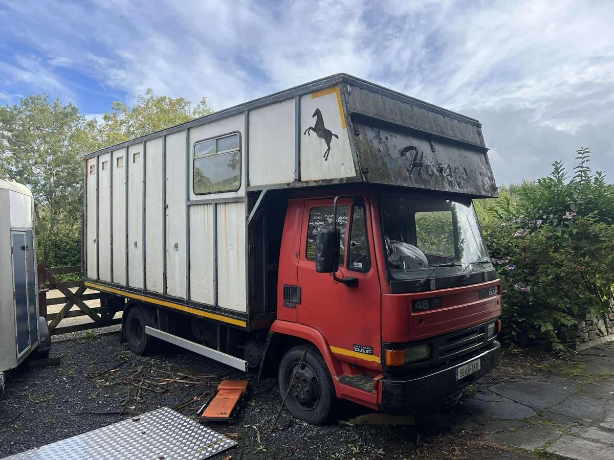 2 Leyland Daf 45 breaking - Image 3