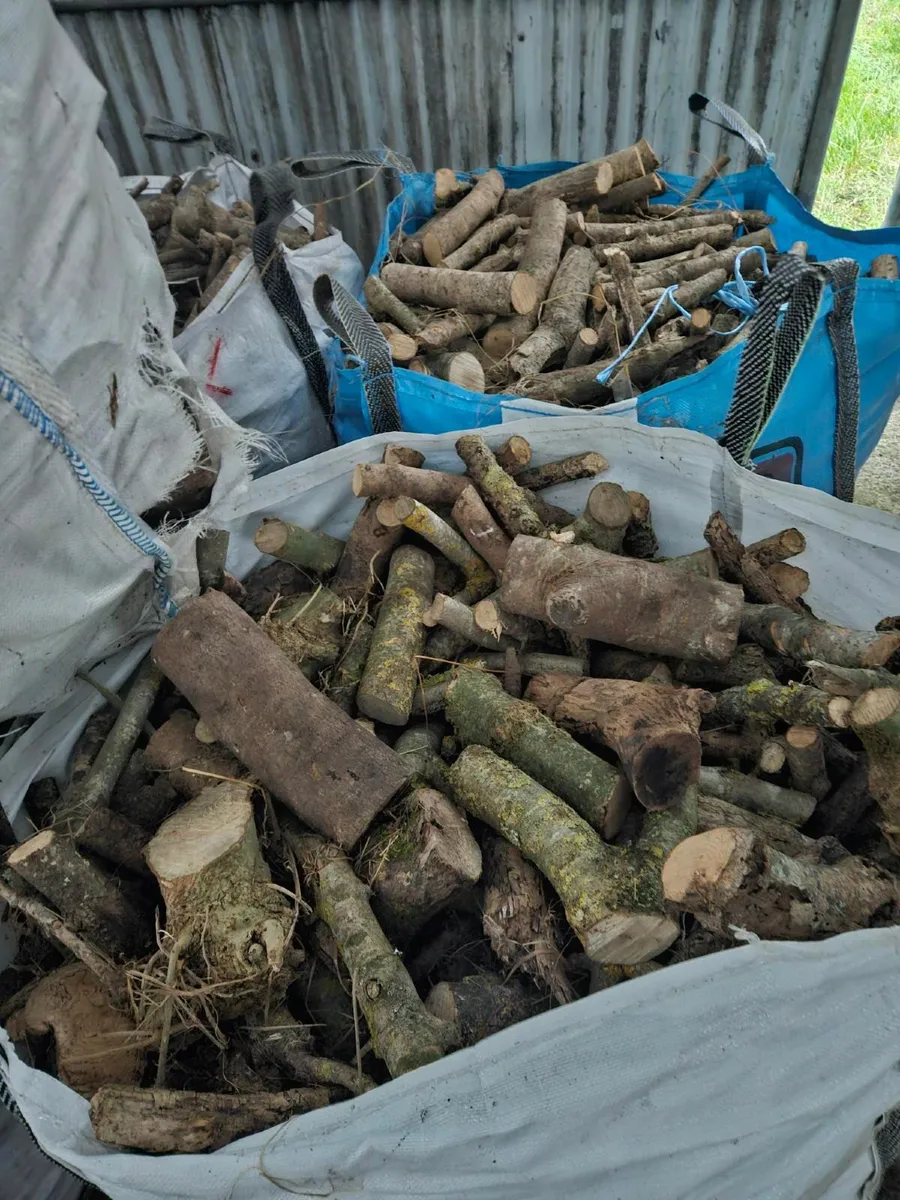 Firewood - dry hardwood - Image 1