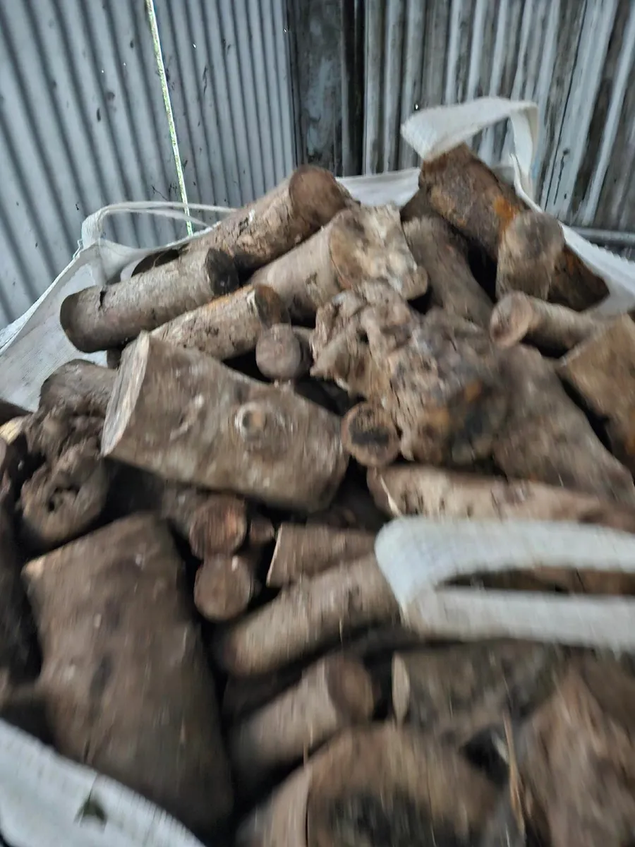Firewood - dry hardwood - Image 3