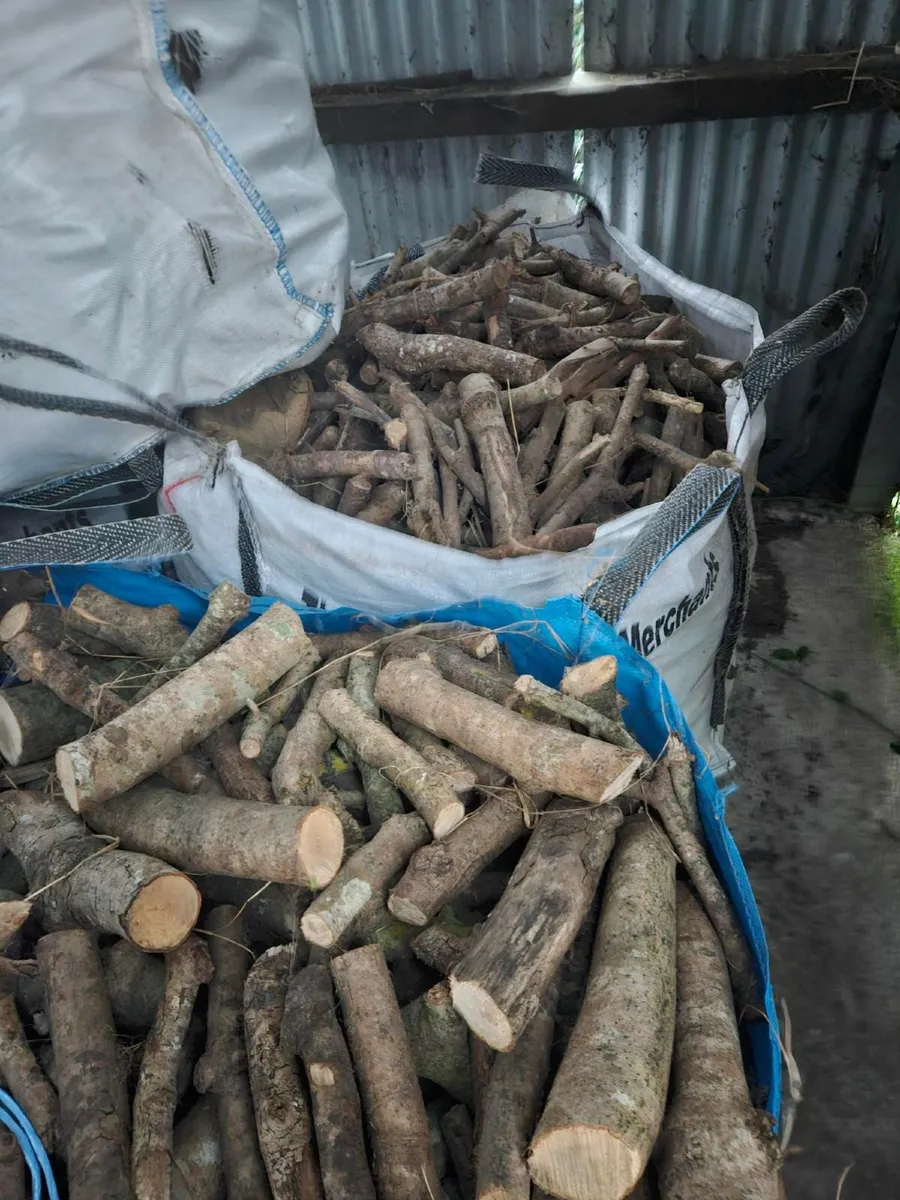 Firewood - dry hardwood - Image 4