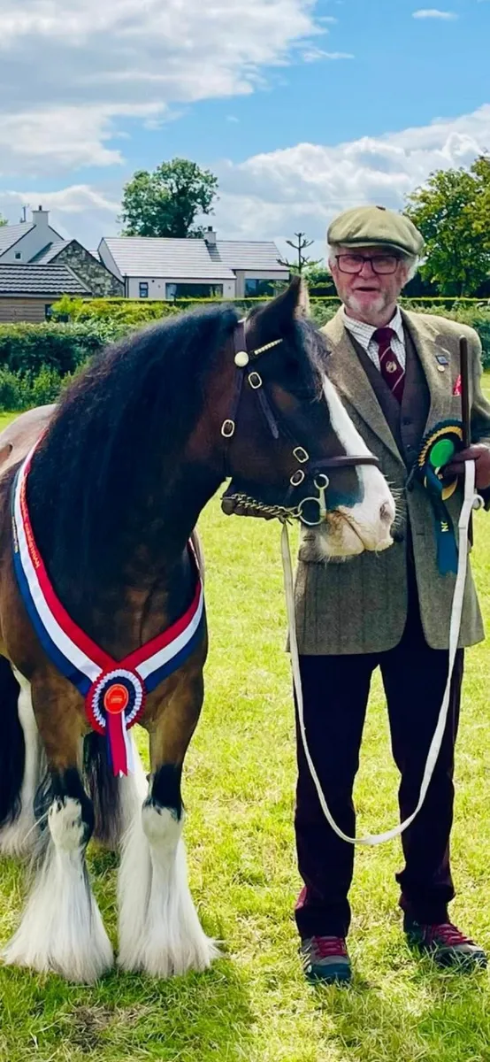 Pony - Image 1