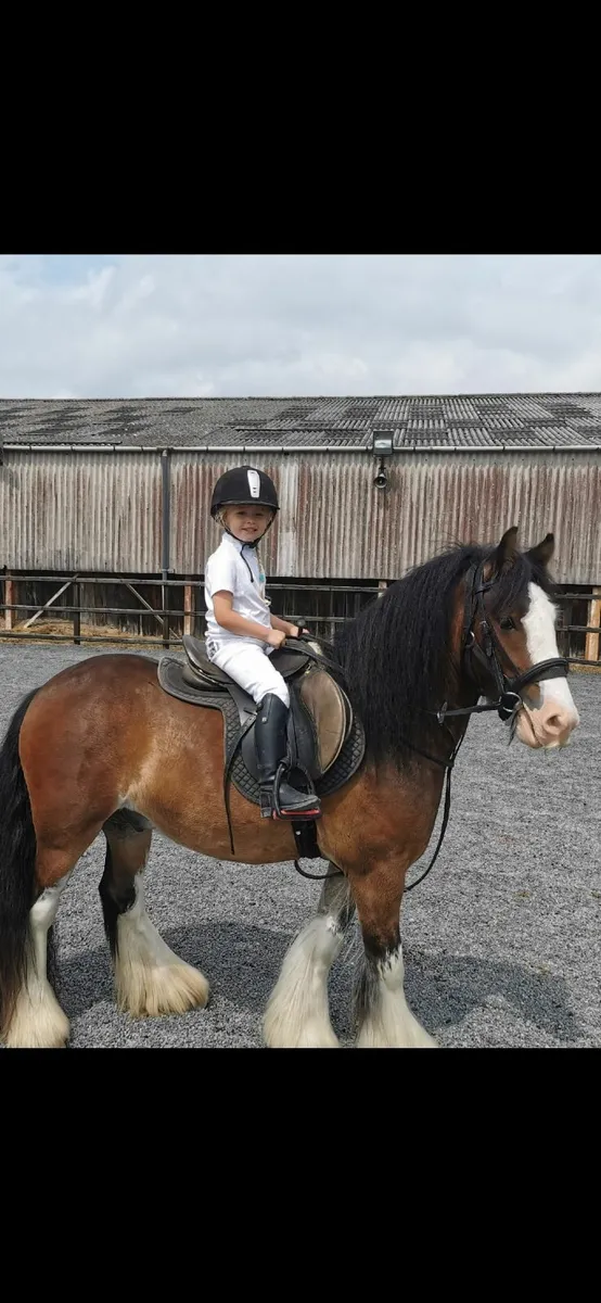 Pony - Image 4