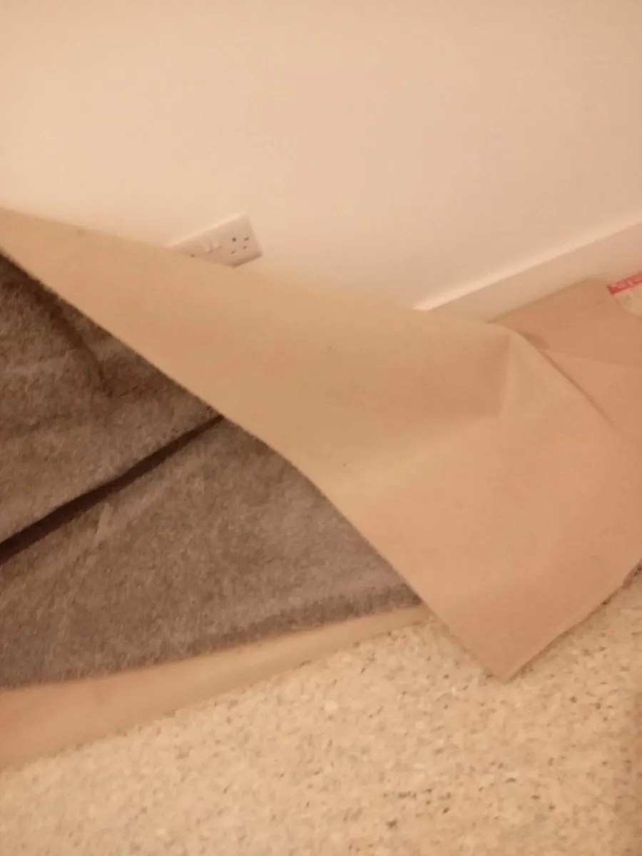 Bedroom carpet - Image 1
