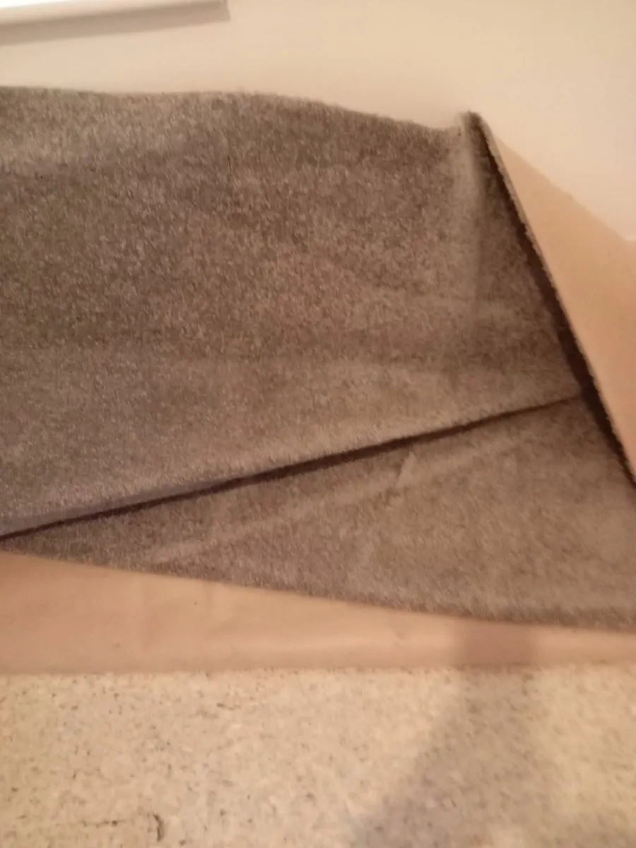 Bedroom carpet - Image 2
