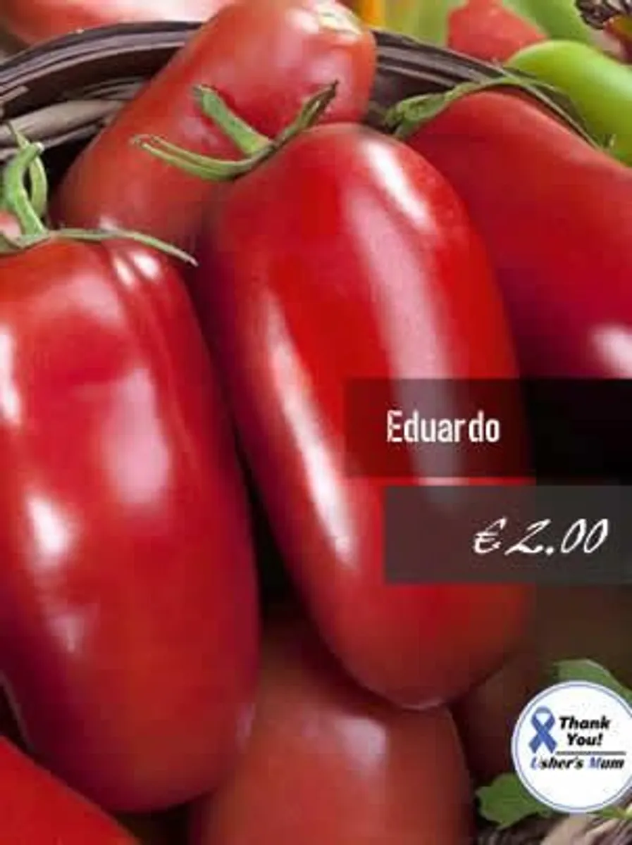 Tomato seeds Over 20 varieties Professionally packed - Image 4