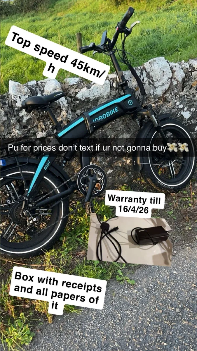 Electric bike