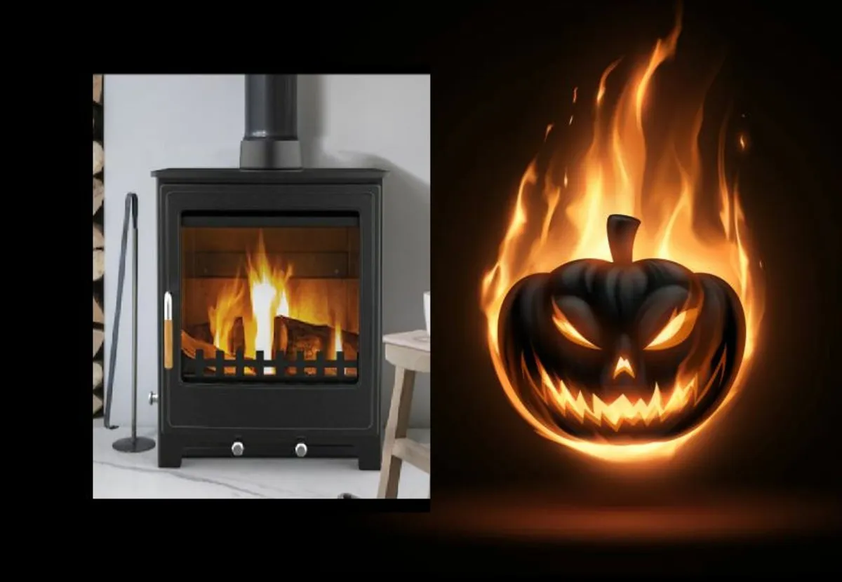 Multi fuel STOVE - Image 1