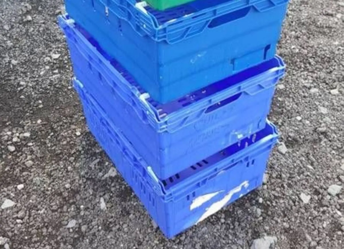 Large  size  storage stacking crates 2e each  exce - Image 4