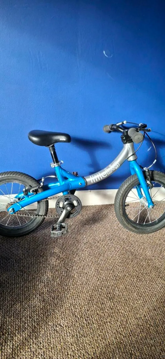 Little big bike - Image 4