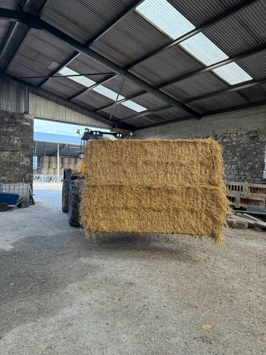 Barley straw - Image 2