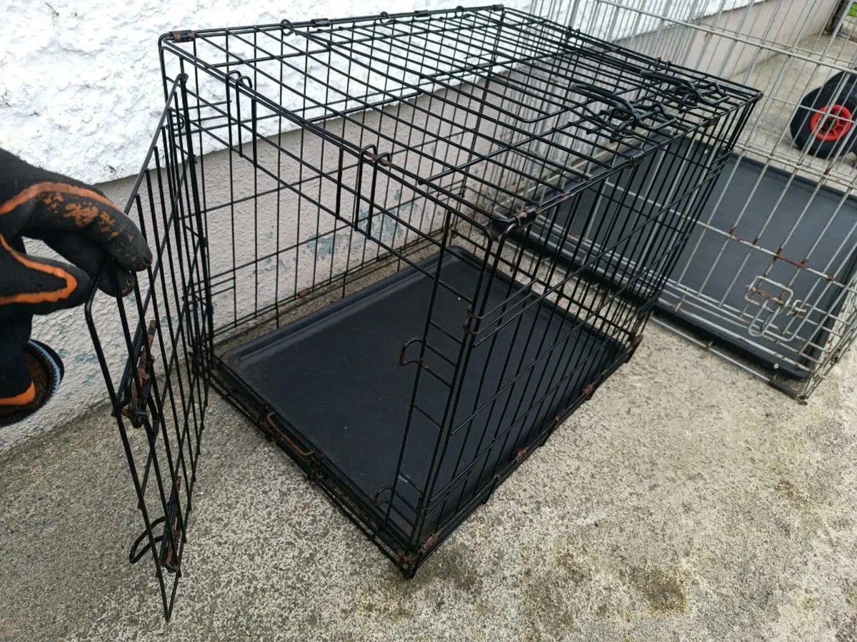 Pet Crate - Image 2