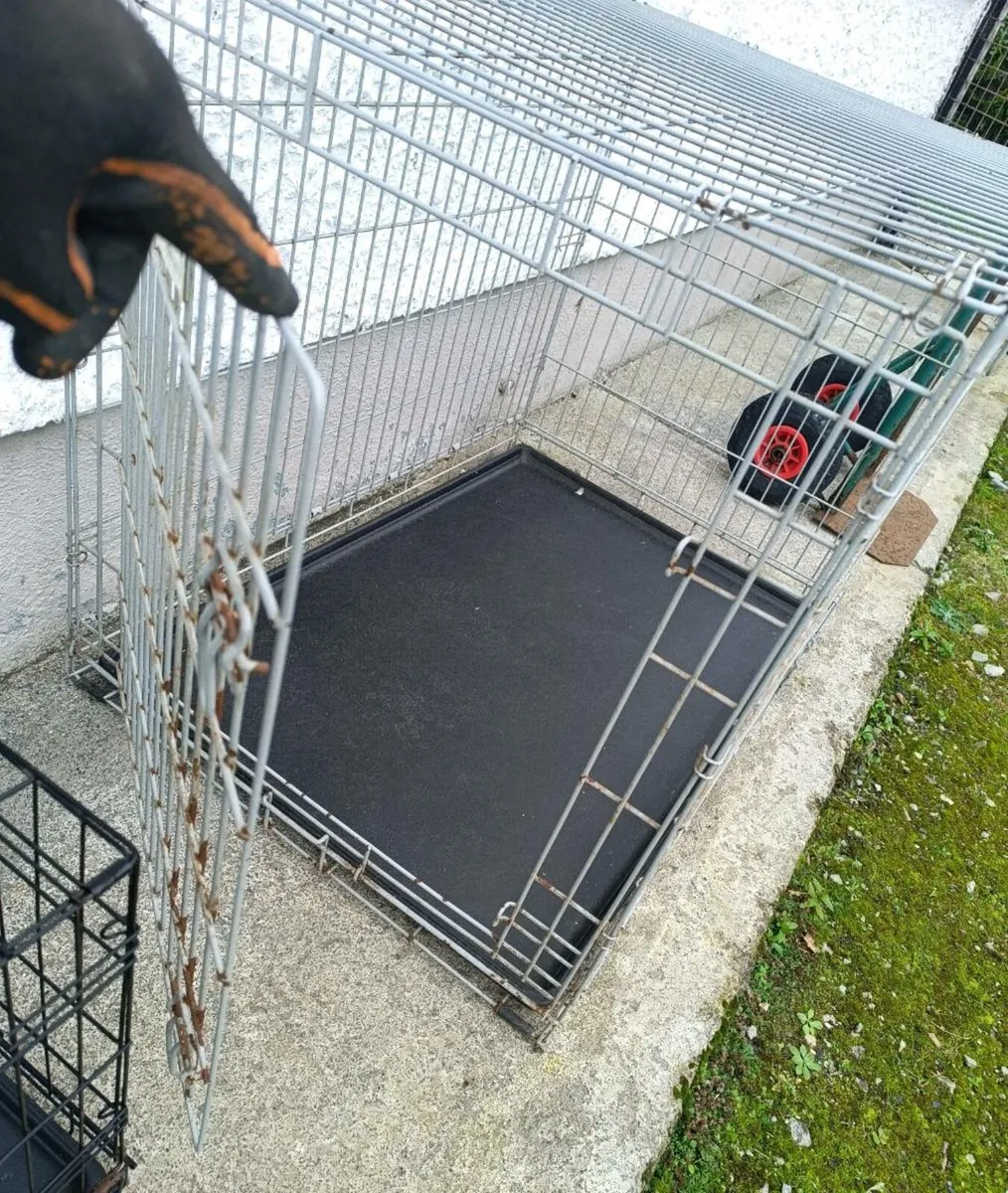 Pet Crate - Image 4